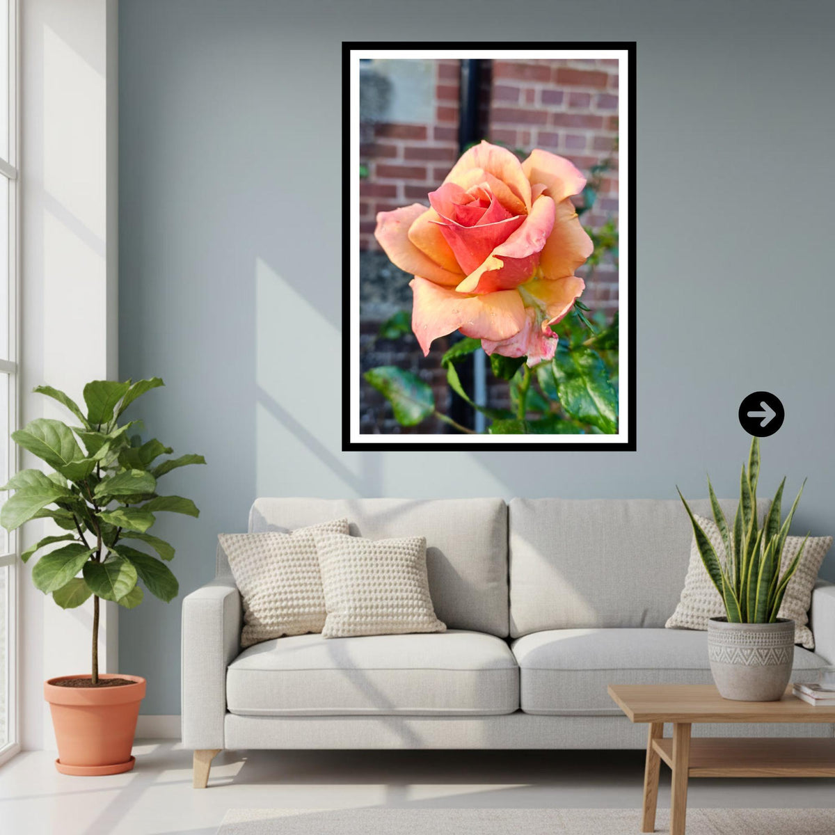 Peach Apricot Rose Print: Botanical Garden Floral Photography Poster