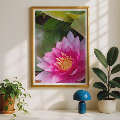 Pink Water Lily Poster, Lotus Flower Wall Art, Botanical Close Up Print, Floral Photography, Garden Pond Decor, Magenta Yellow Flower