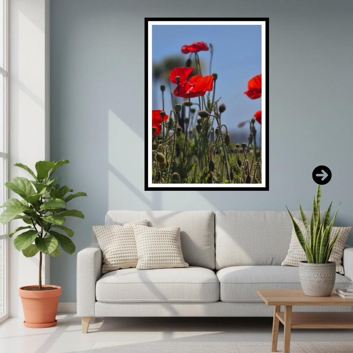 Red Poppy Meadow Print: Wildflower Botanical Photography Wall Art
