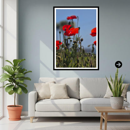 Red Poppy Meadow Print: Wildflower Botanical Photography Wall Art
