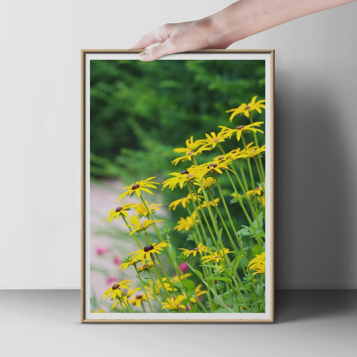 Black Eyed Susan Flower Poster, Yellow Rudbeckia Print, Summer Garden Wall Art, Wildflower Photography, Botanical Floral Home Decor