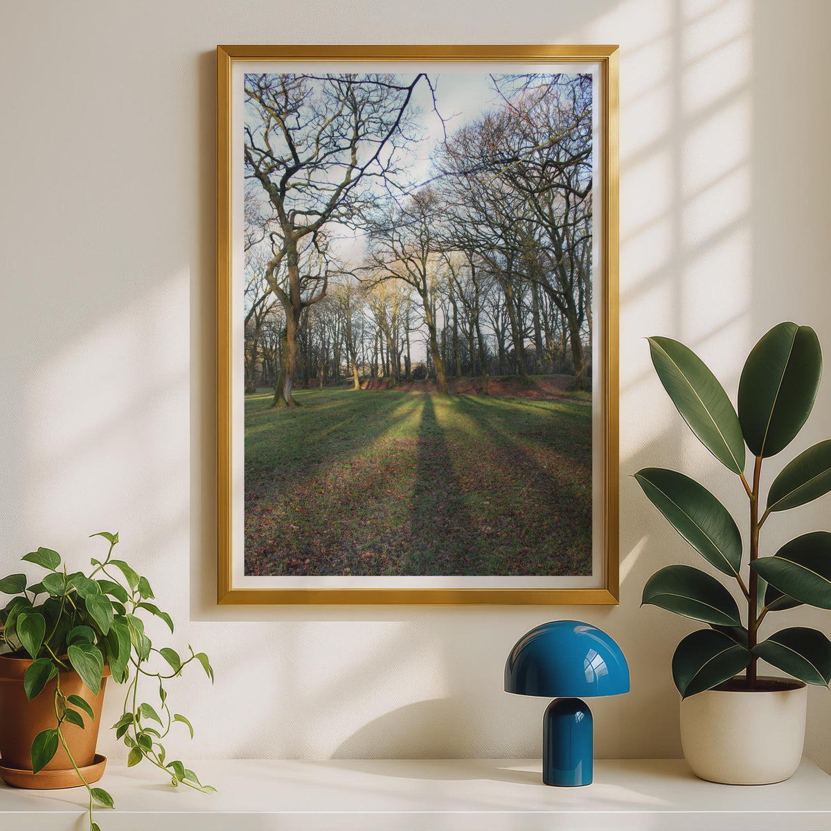 Bare Winter Trees Photography Print - image 2