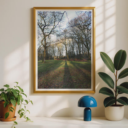 Bare Winter Trees Photography Print - image 2