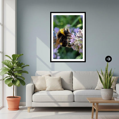 Macro Bumblebee Photography Print | Lavender Botanical Wildlife Art