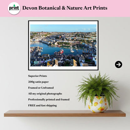 Brixham Harbour Drone Photograph, Devon Coastal Wall Art, Fishing Port Print