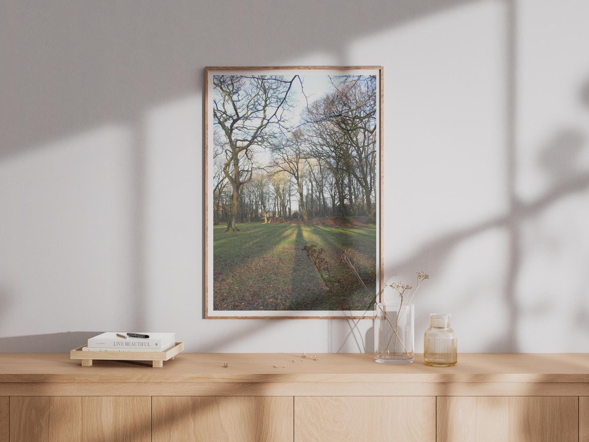 Bare Winter Trees Photography Print - image 4