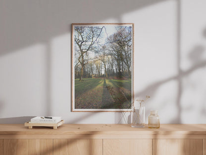 Bare Winter Trees Photography Print - image 4