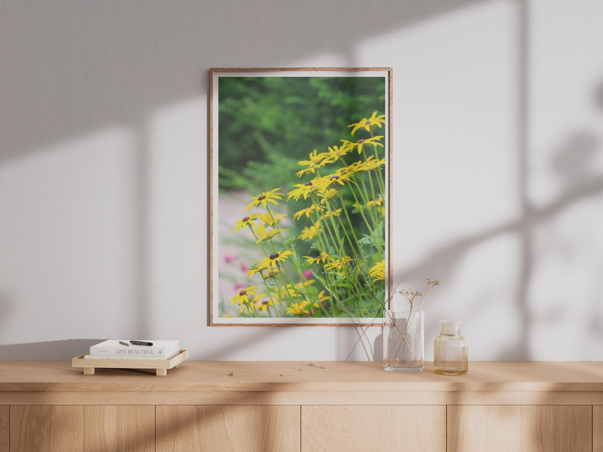 Black Eyed Susan Flower Poster, Yellow Rudbeckia Print, Summer Garden Wall Art, Wildflower Photography, Botanical Floral Home Decor