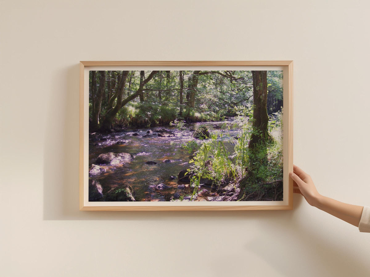 Woodland Stream Poster, Forest River Framed-Print, Dappled Light Trees Nature Wall Art, Green Landscape Photography Print for Home Decor