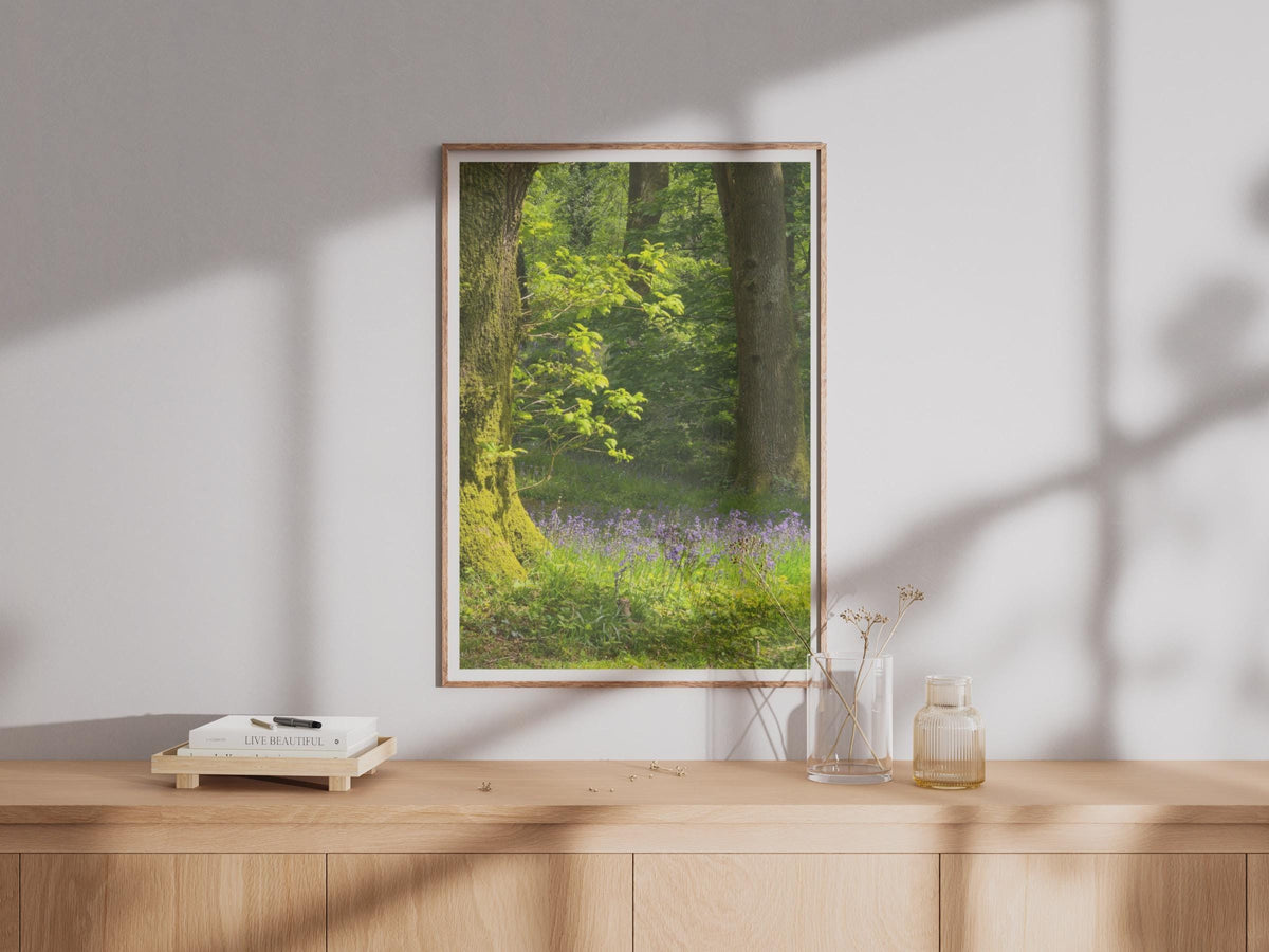 Bluebell Wood Photography Print - image 4