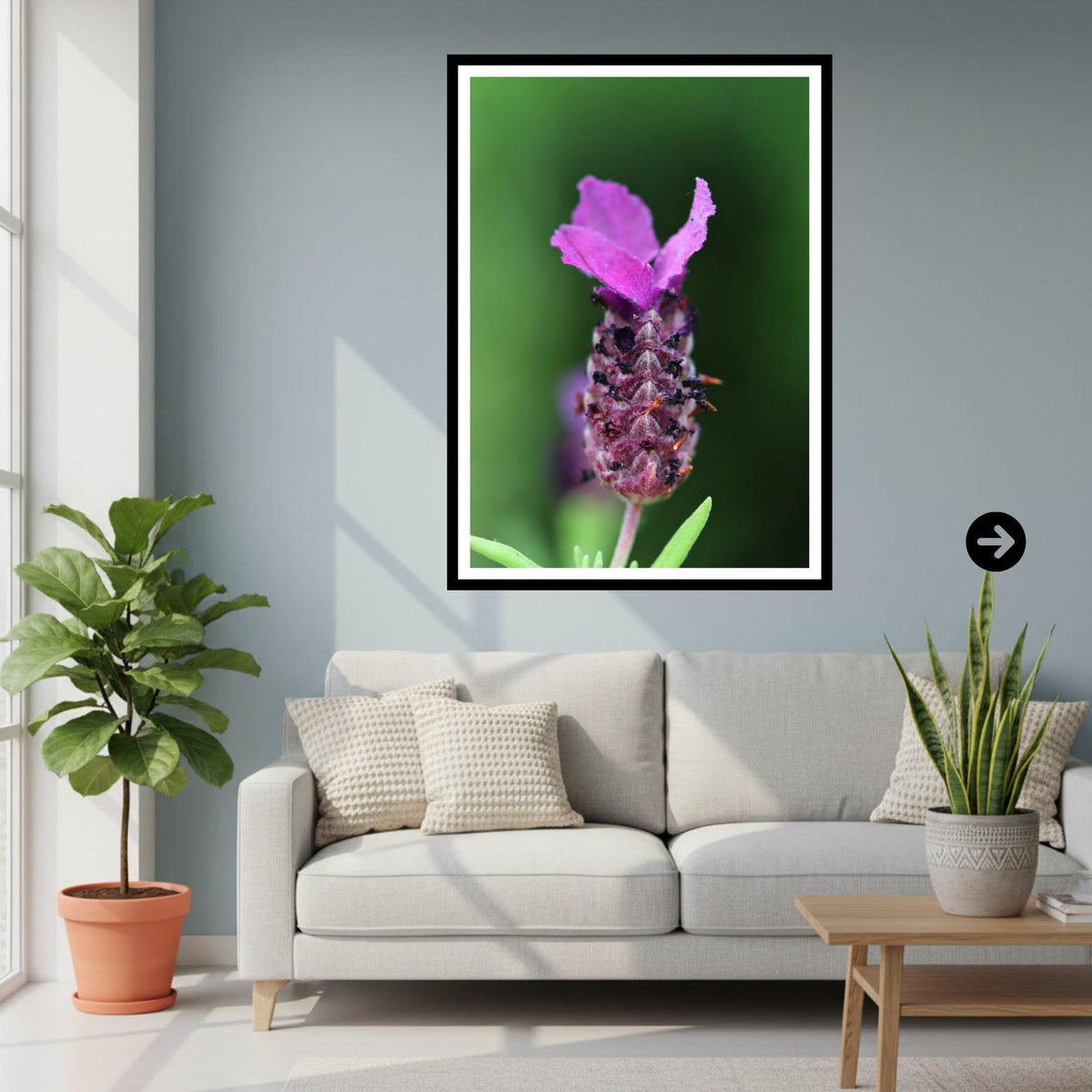 French Lavender Print | Purple Flower Macro Botanical Wall Art