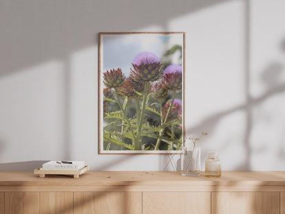 Artichoke Flower Poster, Purple Botanical Wall Art Print, Globe Artichoke Photo, Kitchen Garden Decor, Floral Nature Photography Print
