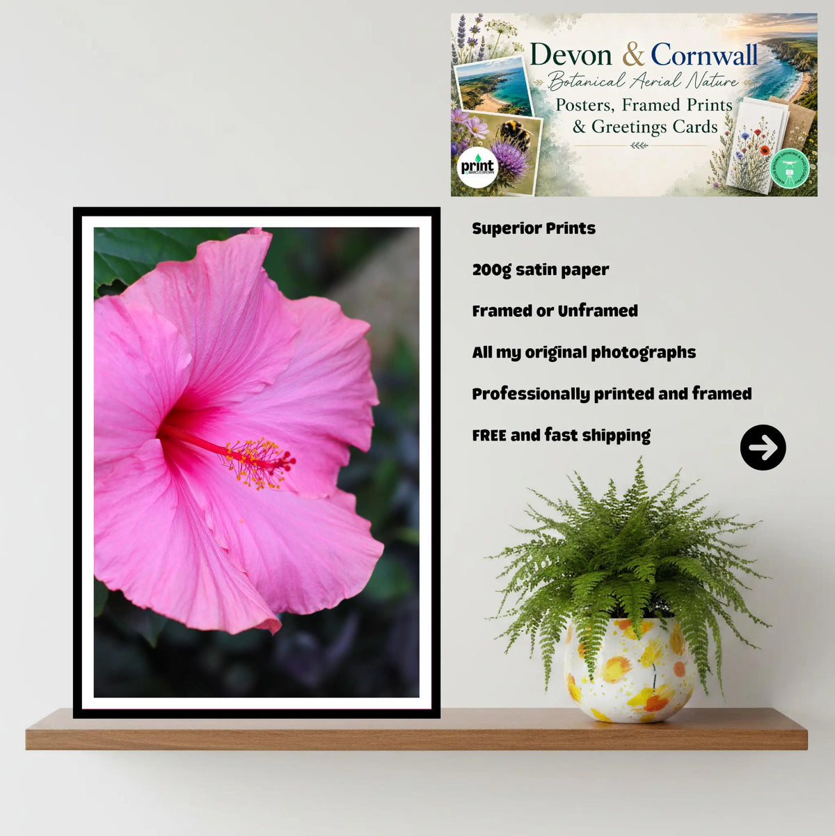 Pink Hibiscus Close-Up — Eden Project Cornwall Wall Art Photography Print