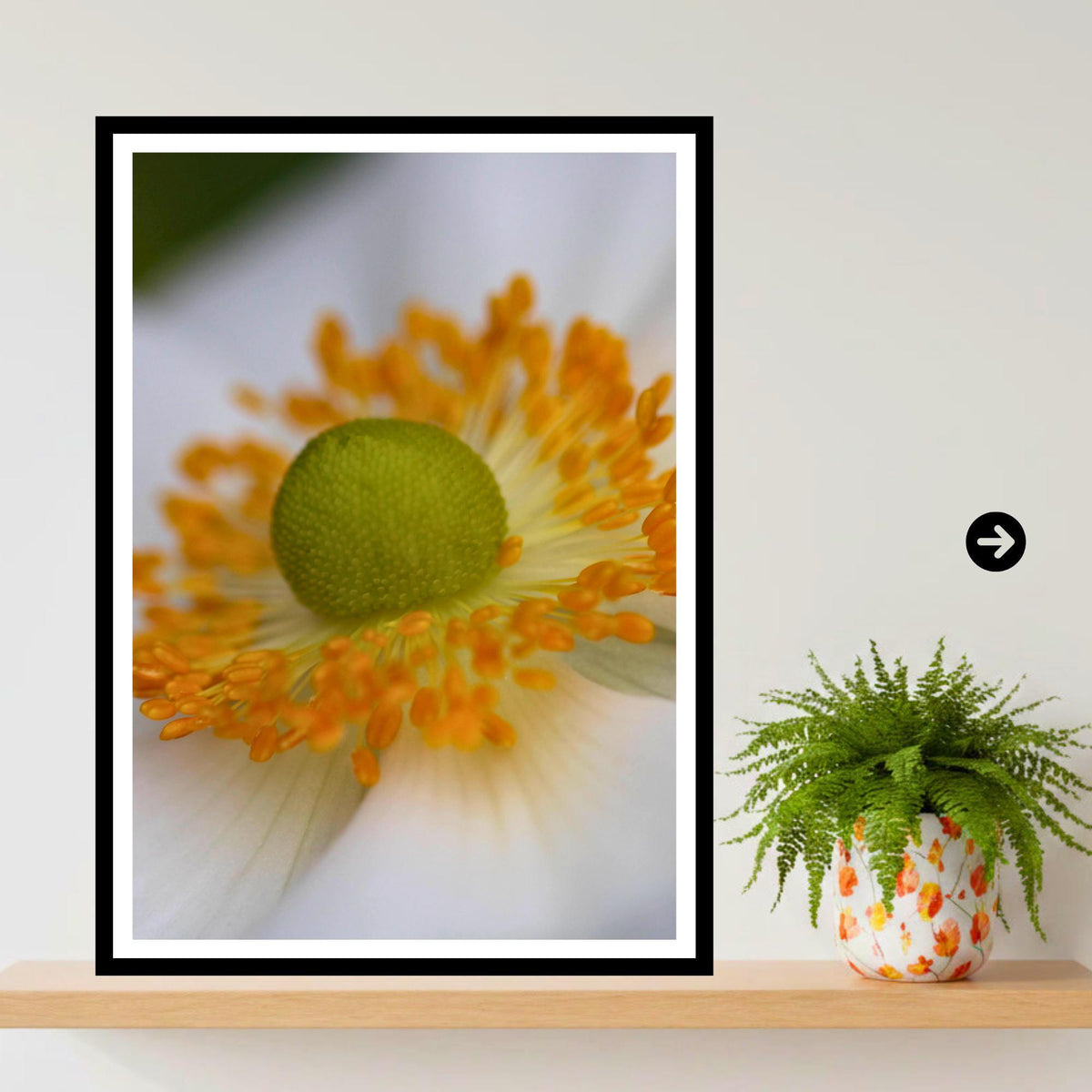 White Anemone Macro Flower Print | Soft Botanical Nature Photography, Elegant Decor