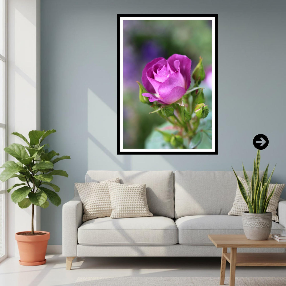 Purple Rose Print: Botanical Fine Art Floral Photography Poster