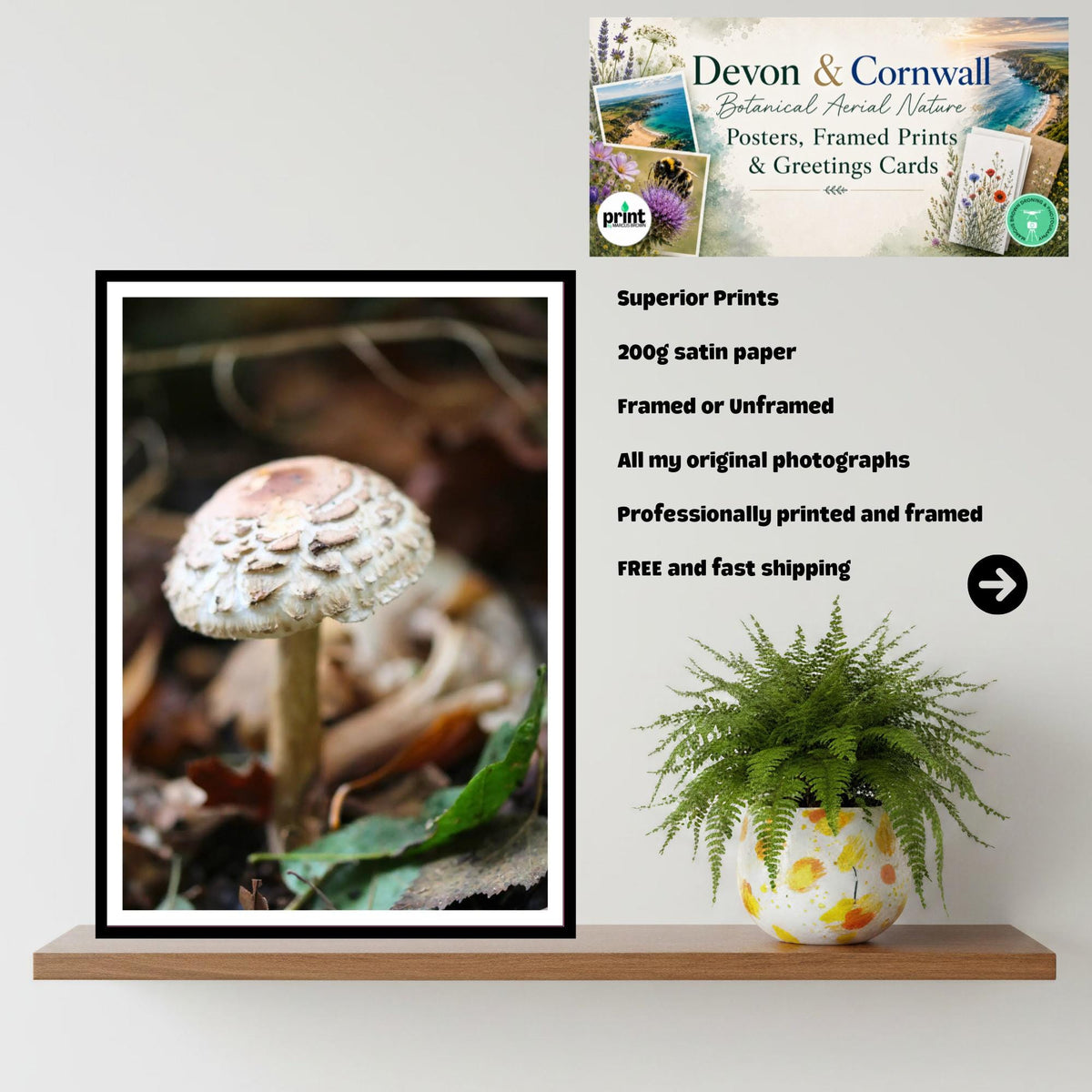Parasol Mushroom Fungi Print Art | Woodland Nature Photography | Botanical Wall Decor | Archival Paper | Unique Gift Mycology Enthusiasts