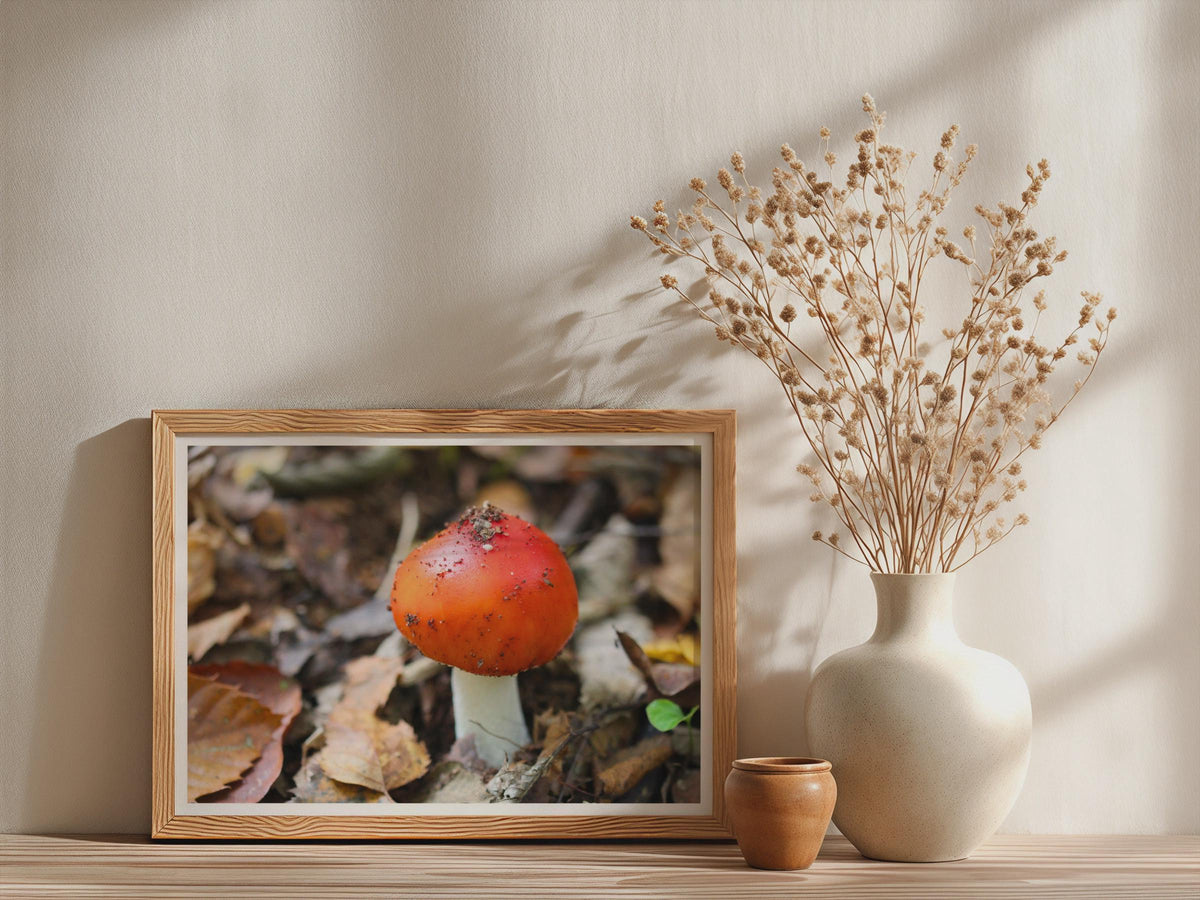 Red Toadstool Fungi Poster mockup - Neutral_Mockup_Studio_509