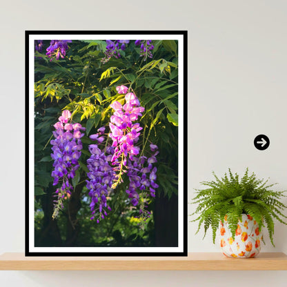 Wisteria Golden Hour Cascade Print, Floral Wall Art, Nature Photography, Archival Paper, Purple Flowers, Romantic Home Decor, Summer Bloom