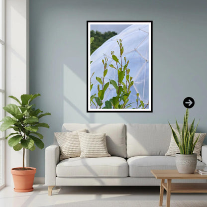 Tender green shoots at Eden Project Biome, Cornwall — Wall Art Photography Print