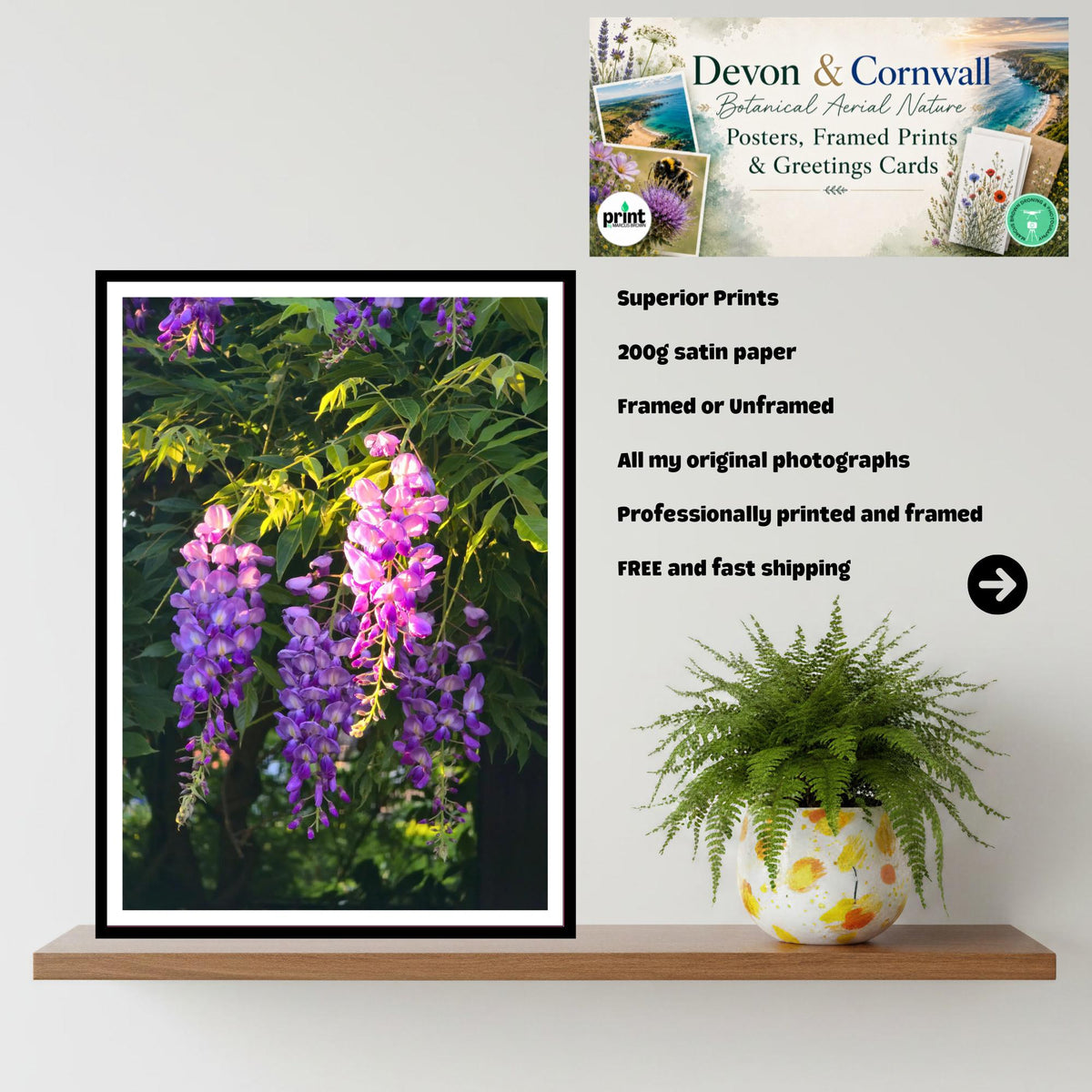 Wisteria Golden Hour Cascade Print, Floral Wall Art, Nature Photography, Archival Paper, Purple Flowers, Romantic Home Decor, Summer Bloom