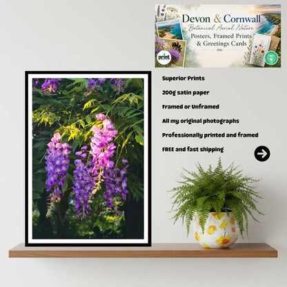 Wisteria Golden Hour Cascade Print, Floral Wall Art, Nature Photography, Archival Paper, Purple Flowers, Romantic Home Decor, Summer Bloom