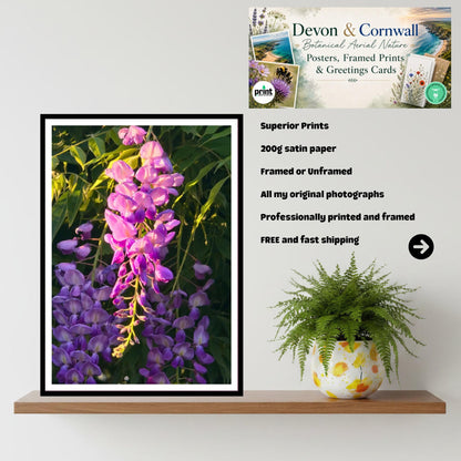 Wisteria Sunset Glow Print, Vibrant Purple Floral Wall Art, Romantic Nature Decor, Summer Bloom, Archival Paper, Home & Gift Idea