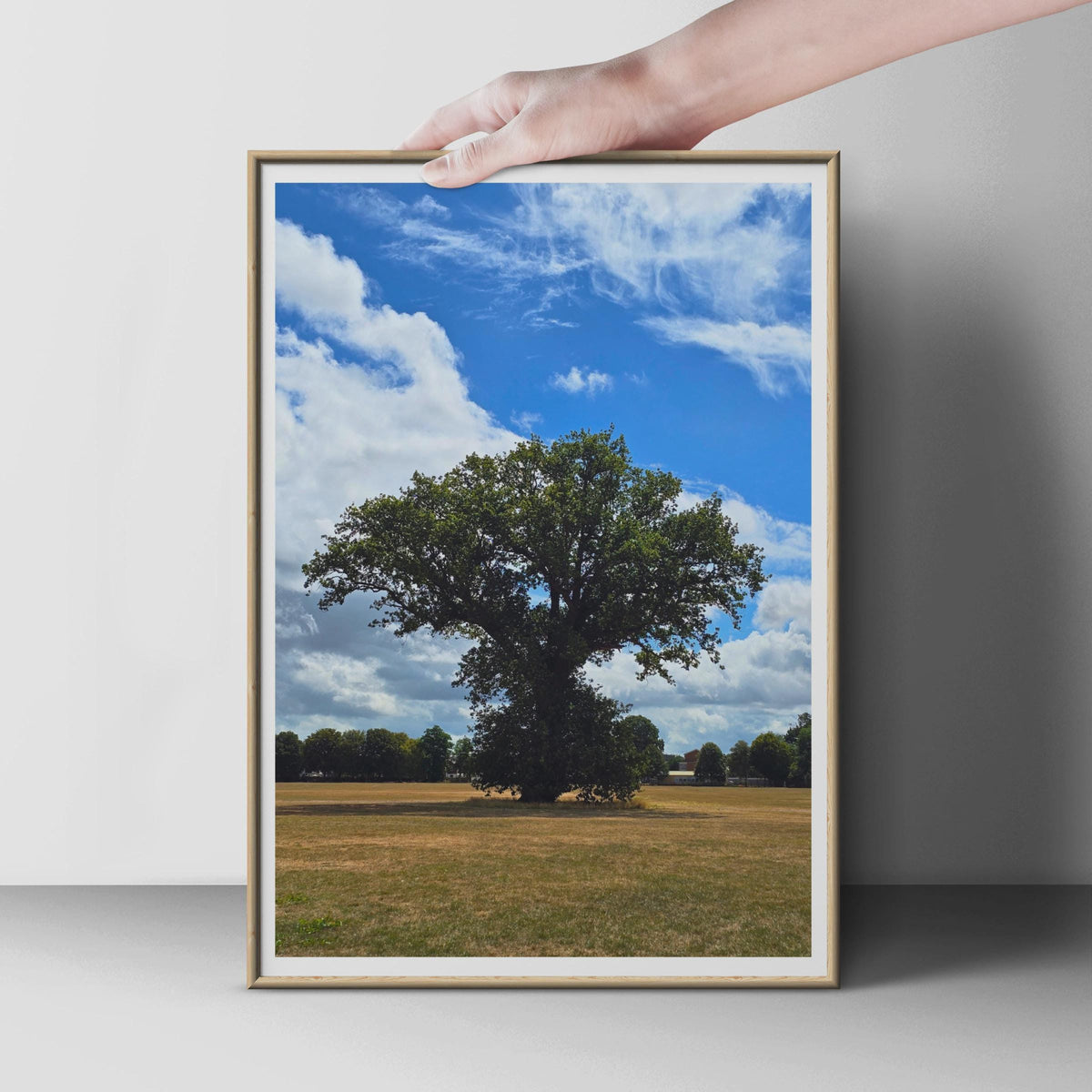 Solitary Oak Tree Poster, English Countryside Wall Art, Summer Landscape Print, Blue Sky Nature Photography, Green Tree Living Room Decor