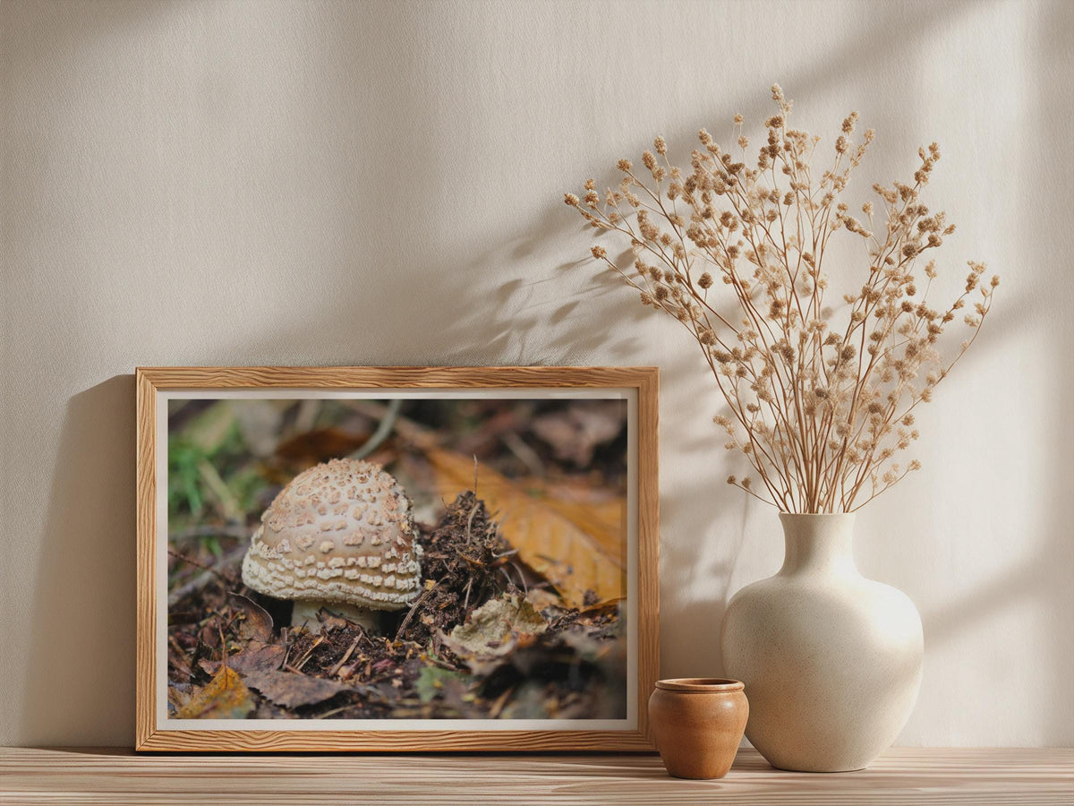 Fungi Mushroom Poster mockup - Neutral_Mockup_Studio_509