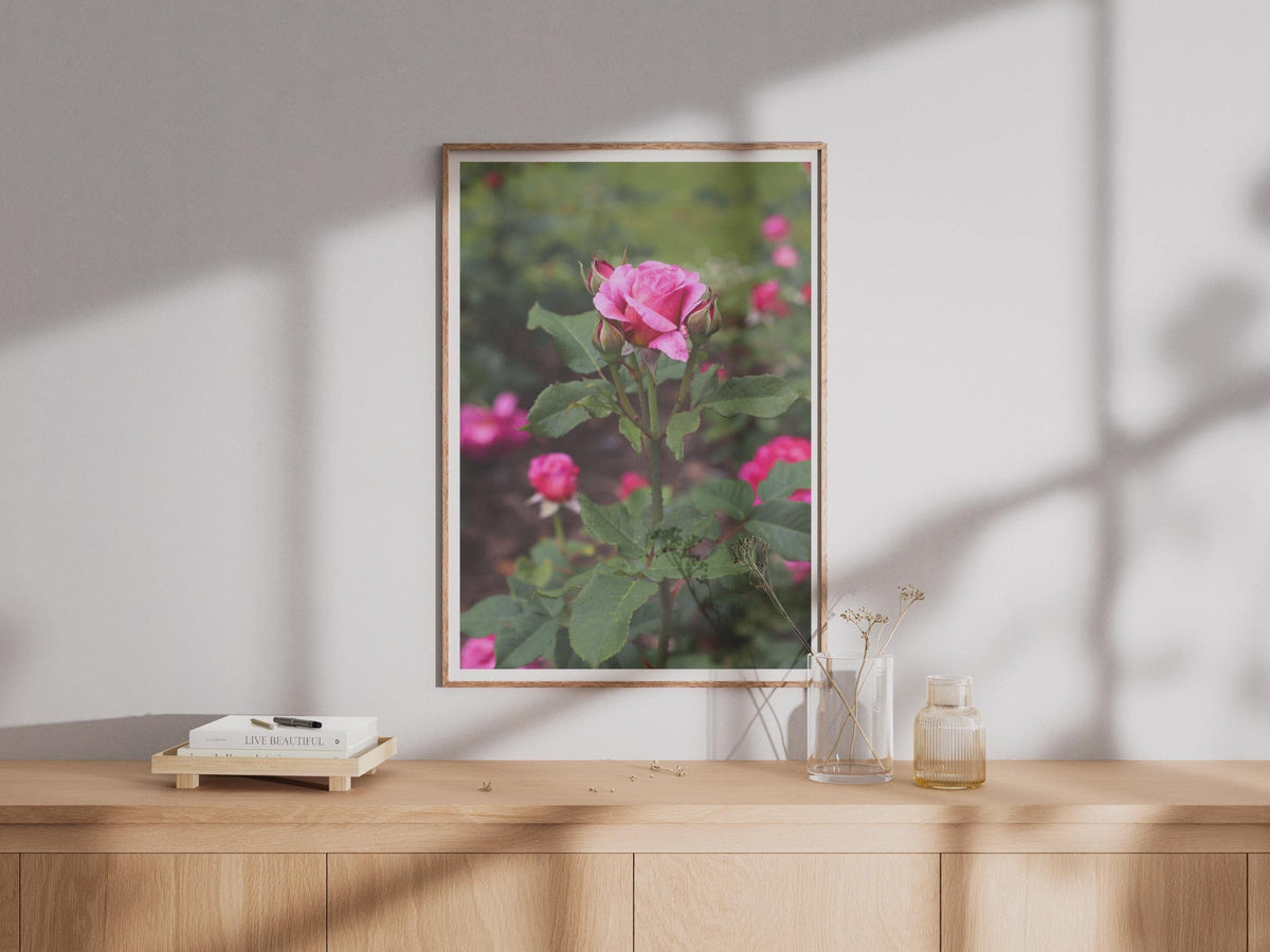 Pink Rose Bud Photograph, Garden Rose Poster, Floral Wall Art, Botanical Print, Rose Photography, Nature Lover Gift, Living Room Decor