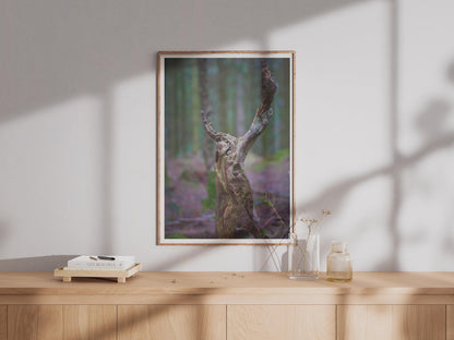 Twisted Tree Stump Forest Poster - image 4