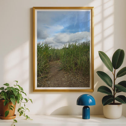 Corn Field Path Poster, Rural Countryside Photography Print, Maize Crop Wall Art, Farmland Nature Photo, Blue Sky Green Fields Print
