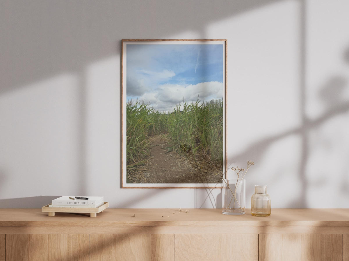 Corn Field Path Poster, Rural Countryside Photography Print, Maize Crop Wall Art, Farmland Nature Photo, Blue Sky Green Fields Print