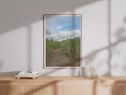Corn Field Path Poster, Rural Countryside Photography Print, Maize Crop Wall Art, Farmland Nature Photo, Blue Sky Green Fields Print