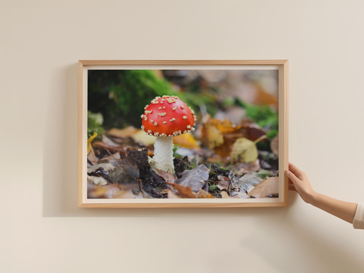 Fly Agaric Mushroom Poster, Red Toadstool Framed Print, Autumn Forest Fungi Wall Art, Nature Photography Print, Woodland Decor Gift