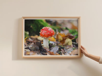 Fly Agaric Mushroom Poster, Red Toadstool Framed Print, Autumn Forest Fungi Wall Art, Nature Photography Print, Woodland Decor Gift