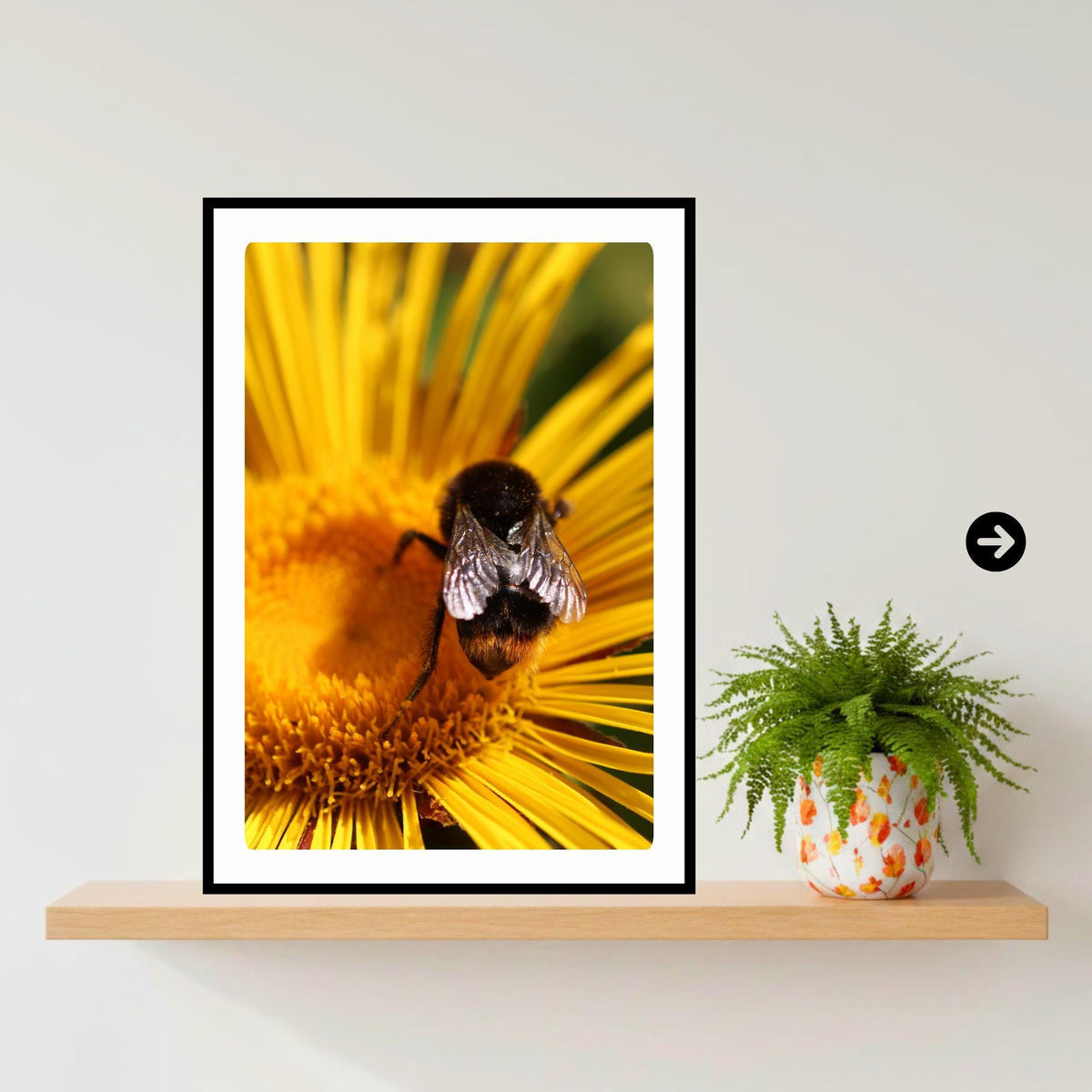 Macro Bumblebee Photography Print | Golden Yellow Floral Nature Decor