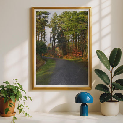 Forest Path Poster - image 2