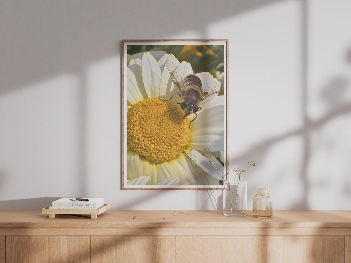 Hoverfly on Daisy Poster, Macro Nature Photography Print, Bee Insect Wall Art, White Flower Garden Wildlife Photo Print for Home Decor