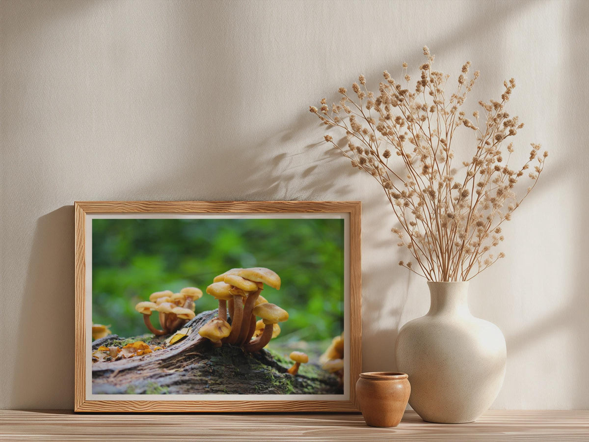 Wild Fungi Photography Poster mockup - Neutral_Mockup_Studio_509