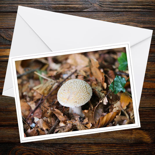 False death cap fungi greeting card, botanical print, woodland gift idea, nature-inspired stationery, eco-friendly paper, forest flora art