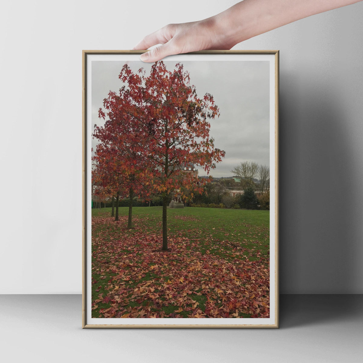 Autumn Tree Poster, Red Fallen Leaves Print, English Garden Wall Art, Seasonal Nature Photography, Fall Foliage, Portrait Format Decor