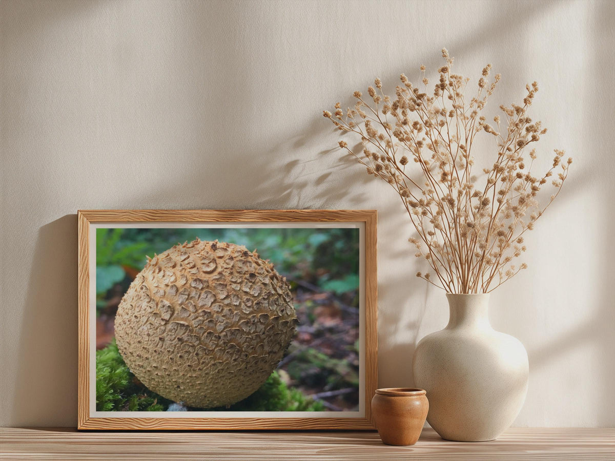 Puffball Mushroom Poster mockup - Neutral_Mockup_Studio_509