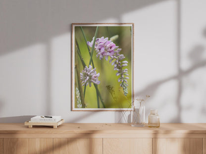 Wild Flower Photography Print, Purple Pink Botanical Wall Art, Meadow Flower Poster, Nature Close Up, Green Garden Decor, Floral Wall Art