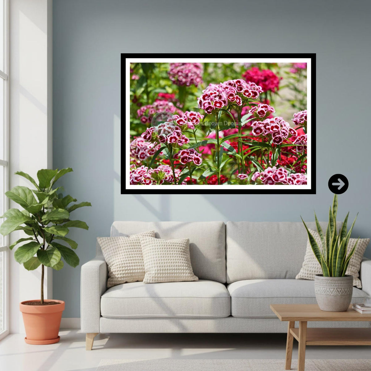 Sweet William Flowers Print | Cottage Garden Floral Wall Art