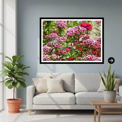 Sweet William Flowers Print | Cottage Garden Floral Wall Art