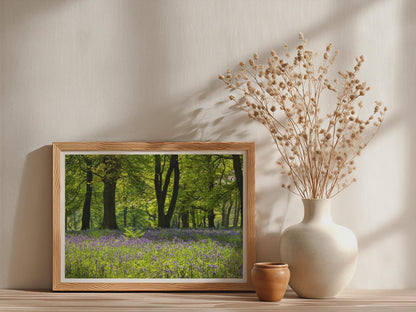 Bluebell Wood Poster - image 3