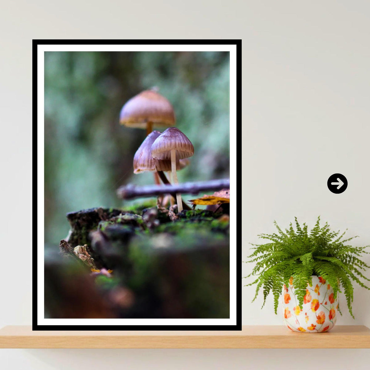 Bonnet Mycena Fungi Print Art, Bioluminescent Mushroom Wall Decor, Nature Photography, Woodland Fungi Poster, FSC Certified Archival Print