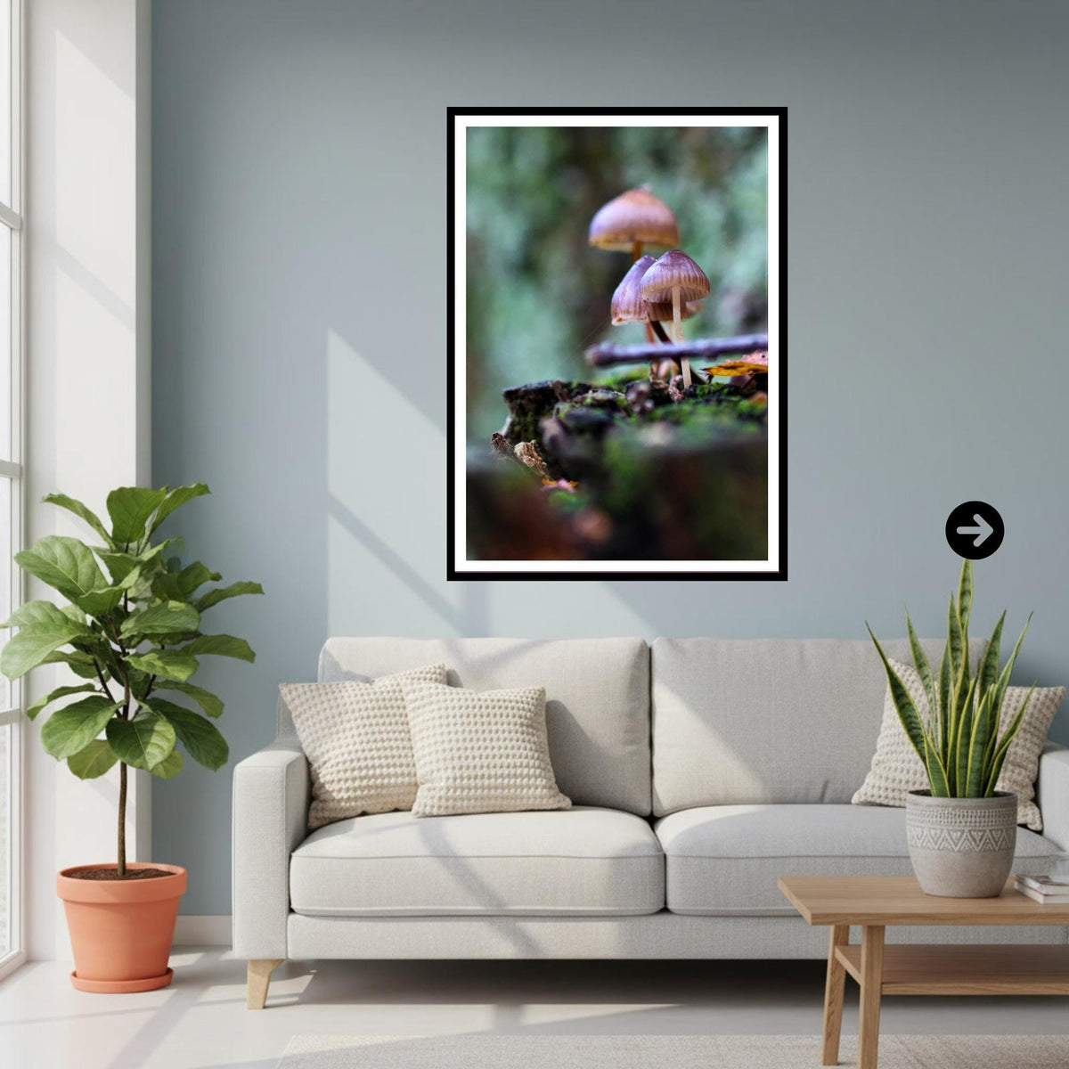 Bonnet Mycena Fungi Print Art, Bioluminescent Mushroom Wall Decor, Nature Photography, Woodland Fungi Poster, FSC Certified Archival Print