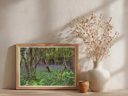 Bluebell Wood Poster - image 3