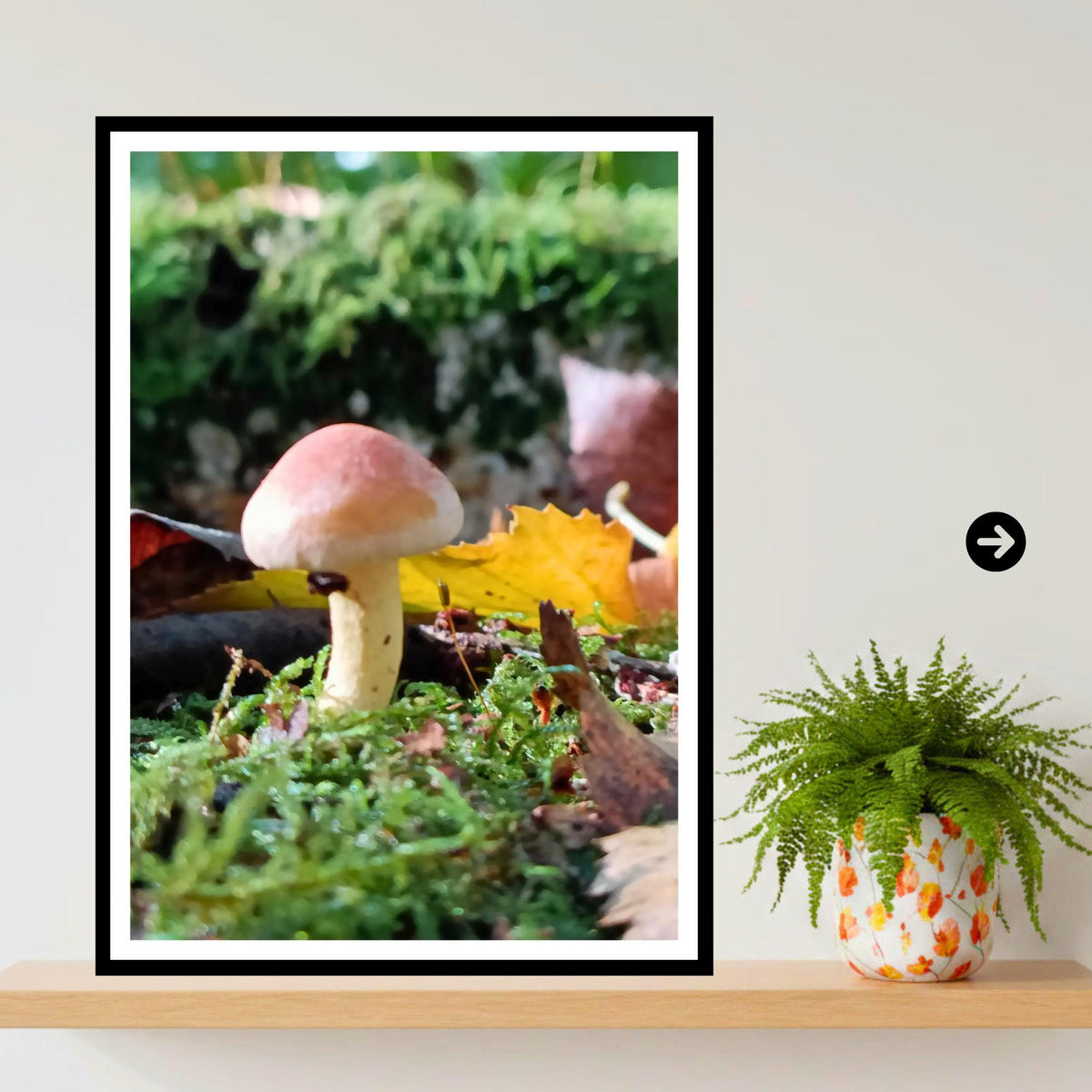 Two-Colored Bolete Fungi Print Art | Nature Photography, Woodland Decor, Forest Mushroom Poster, Mycology Wall Art, FSC Certified Print